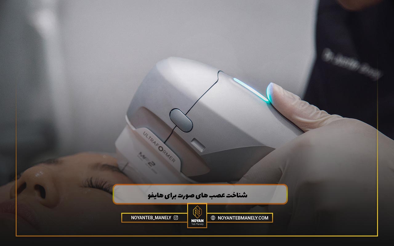 آناتومی اعصاب صورت انسان